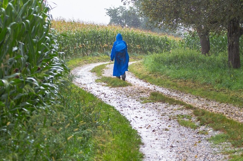 雨の日のウォーキングはどうする？快適に歩くコツ〜家の中での代替案まで紹介！