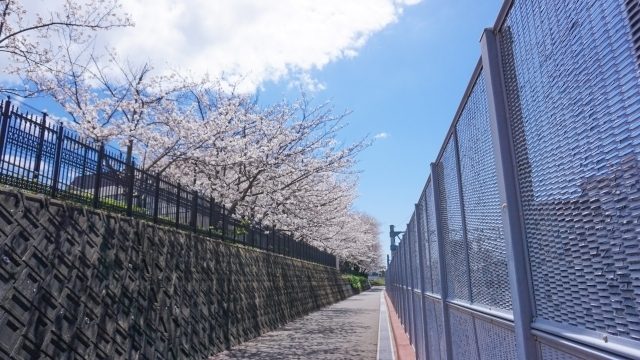 【画像】香川真司の高校はヤンキー校？幼少期〜小中学など子供時代まで徹底調査！